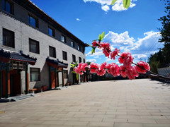 东郊殡仪馆属于哪个区?在什么位置?