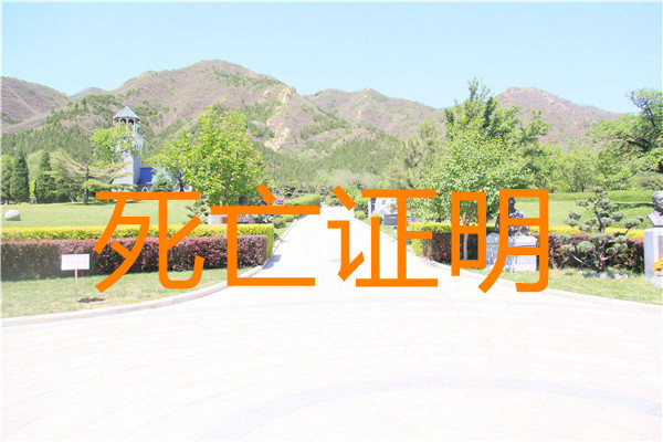 死亡证明 死亡证明