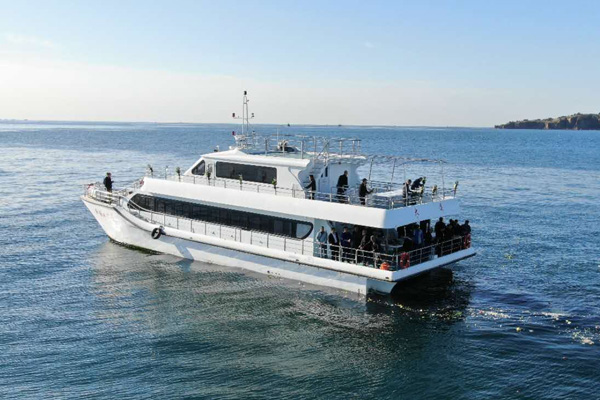 骨灰海撒 骨灰海撒