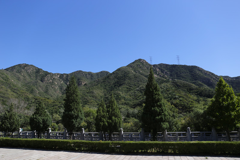 迁坟 迁坟