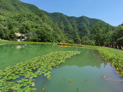 北京骨灰寄存不错陵园名称及费用、年限
