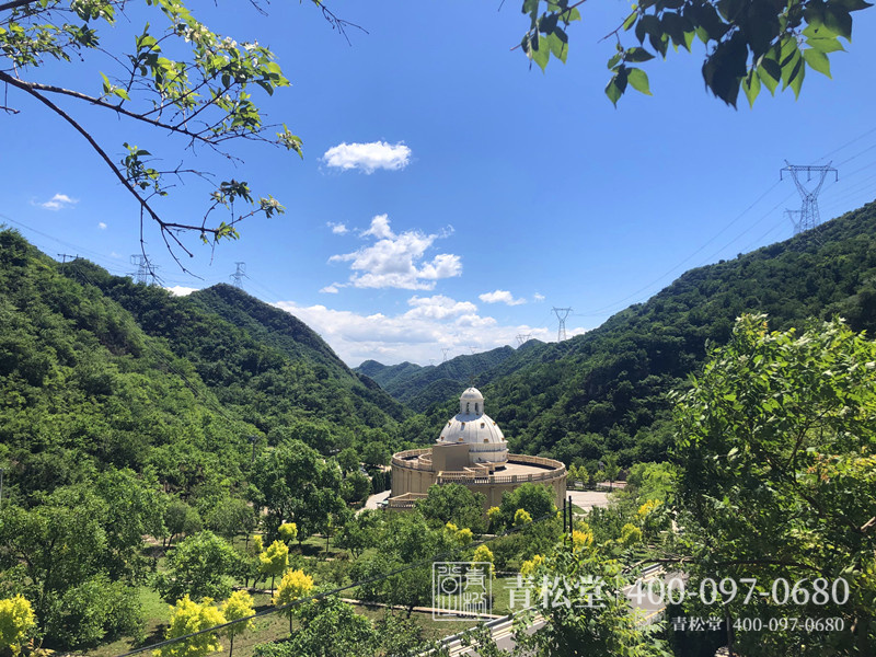 树葬陵园 树葬陵园
