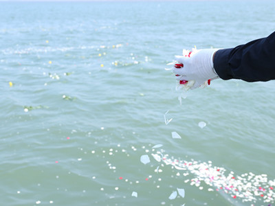 北京骨灰海葬在线报名流程详解及一对一服务体验