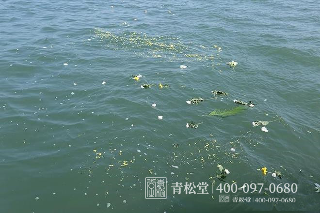 骨灰撒海 骨灰撒海