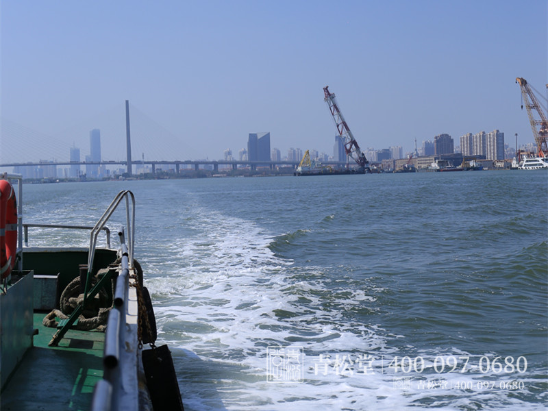 骨灰撒海 骨灰撒海