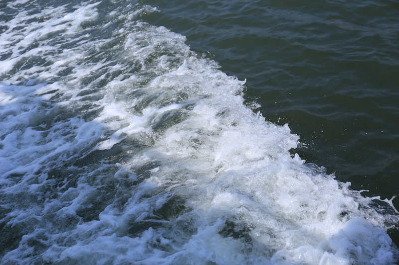 骨灰海撒 骨灰海撒