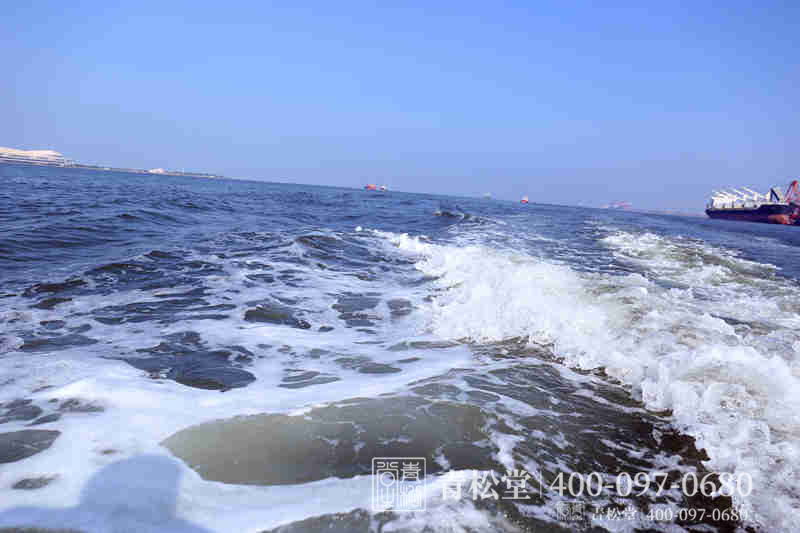 骨灰海撒 骨灰海撒