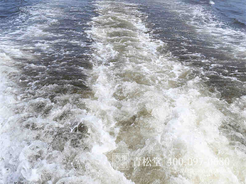 骨灰海撒 骨灰海撒