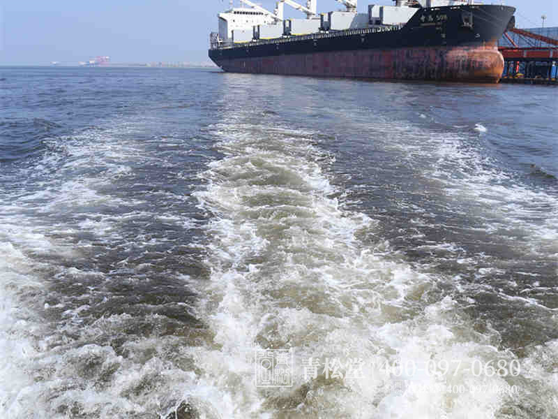 骨灰海撒 骨灰海撒