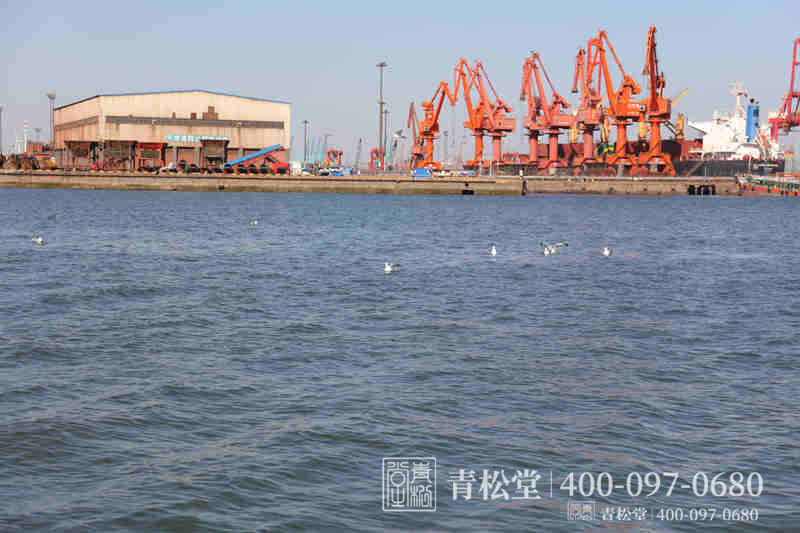 骨灰海撒 骨灰海撒