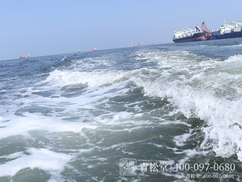骨灰海撒 骨灰海撒