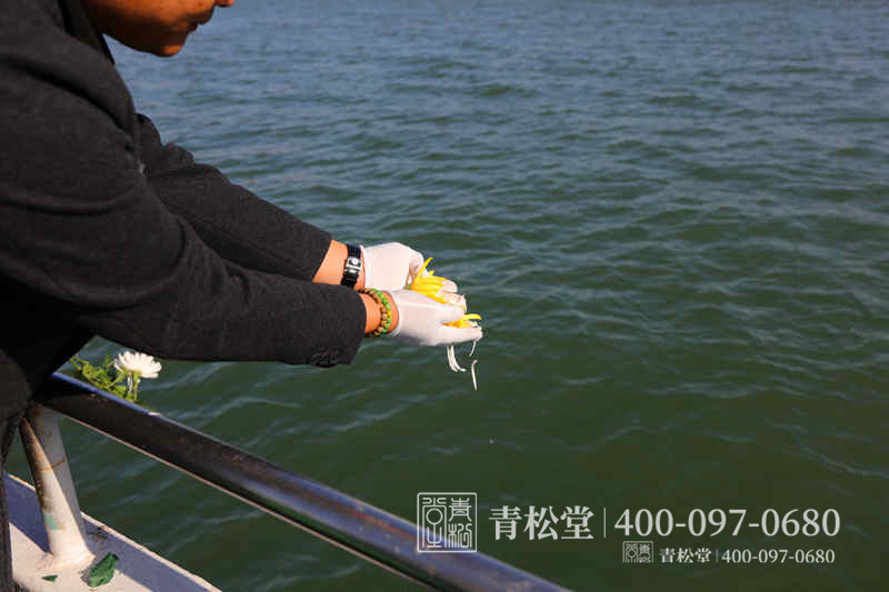 骨灰海撒 骨灰海撒
