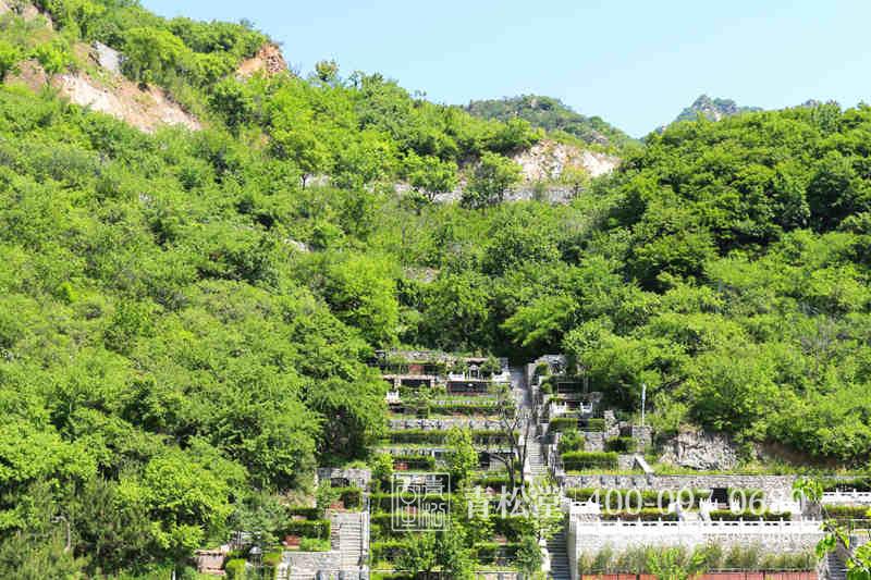 树葬陵园环境 树葬陵园环境